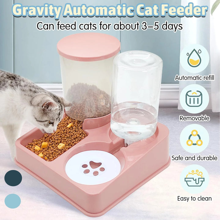 Conjunto automático de alimento para animais