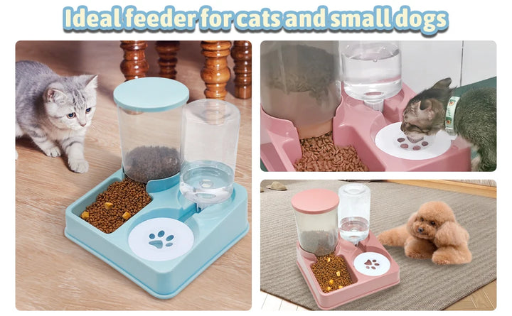 Conjunto automático de alimento para animais