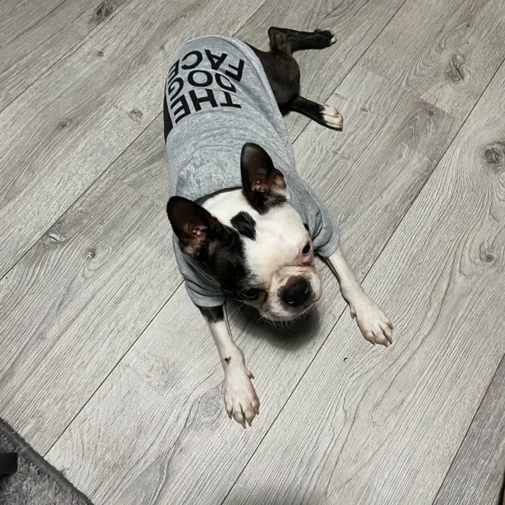 Roupas para cães com capuz