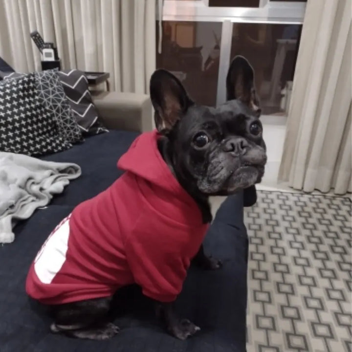 Roupas para cães com capuz