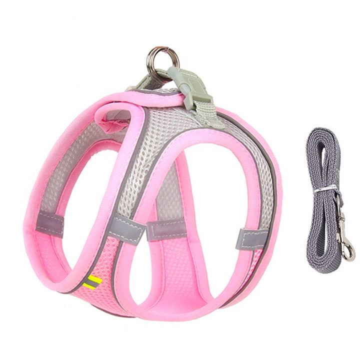 Conjunto de coleira para cães pequenos