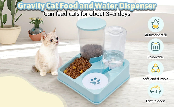 Conjunto automático de alimento para animais